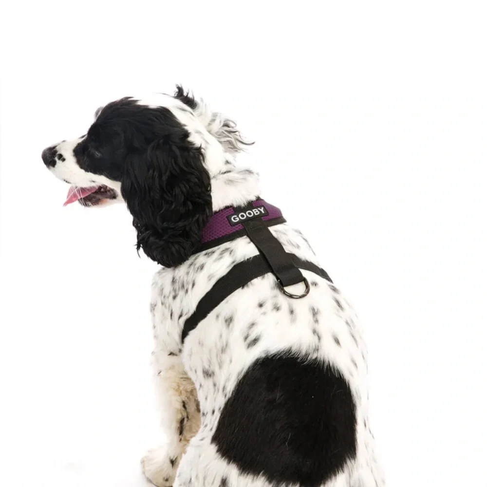 GOOBY ‘X Comfort Harness’ in Purple - Picture 2 of 12